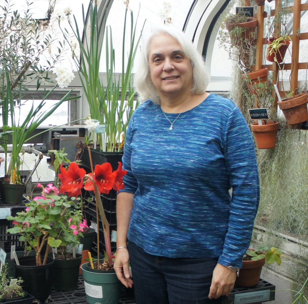 This is a photo of Joanne D'Auria with white shoulder length hair, blue top standing next to a red amaryllis flower in a room that has several plants and flowers surrounding her.